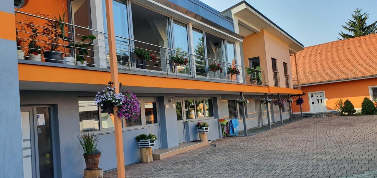 Apartment Akacijev Izvir Miklavž na Dravskem Polju